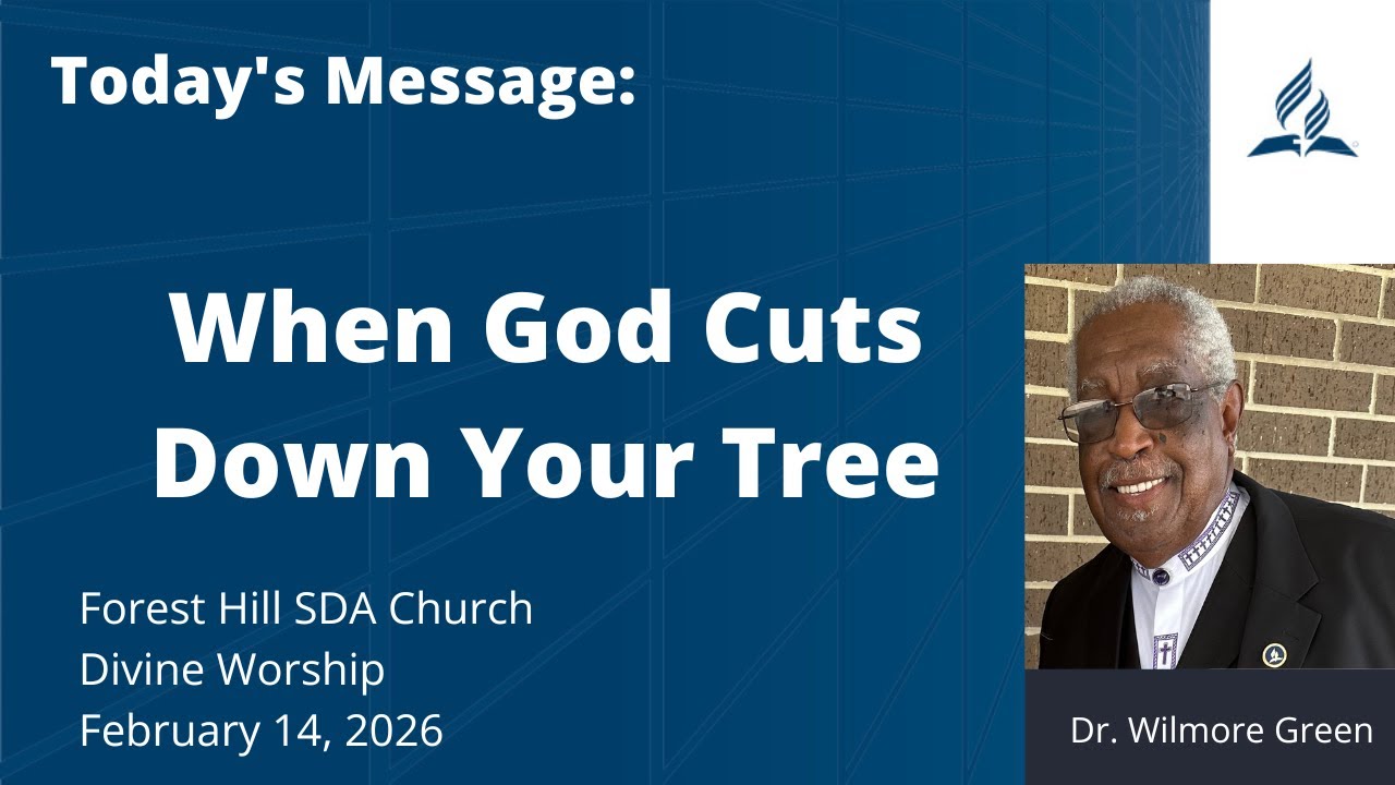 When God Cuts Down Your Tree | Divine Worship