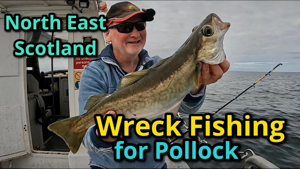 Wreck Fishing: Pollock Fishing: FISHnTHINGS: Sea Fishing: 🎣🐟🐟🐟