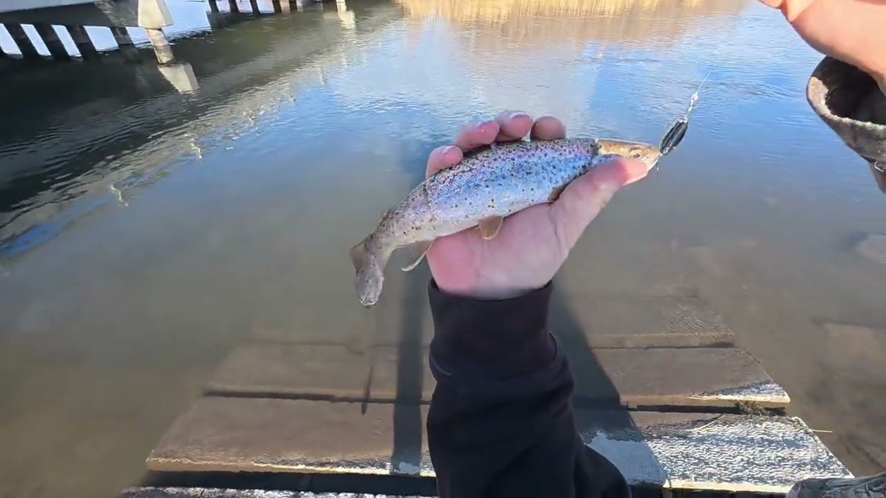 Fishing with the my boy at one of my honey holes.