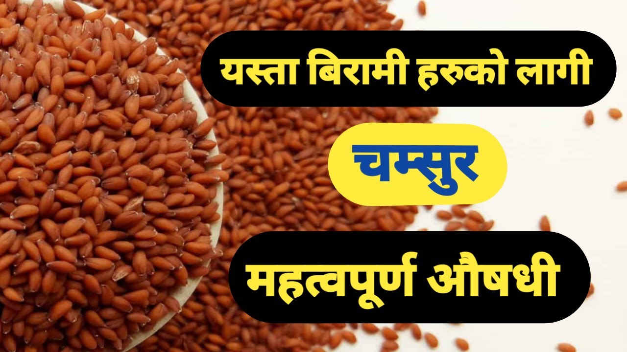चम्सुर को फाईदाहरु || Health benefits of garden cress || Nepali Health Tips
