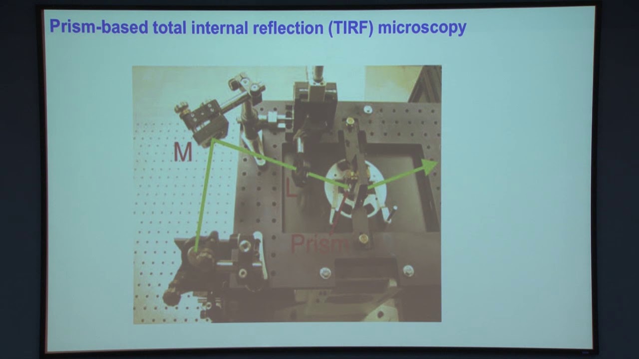 Research Techniques Single molecule FRET one molecule at a time