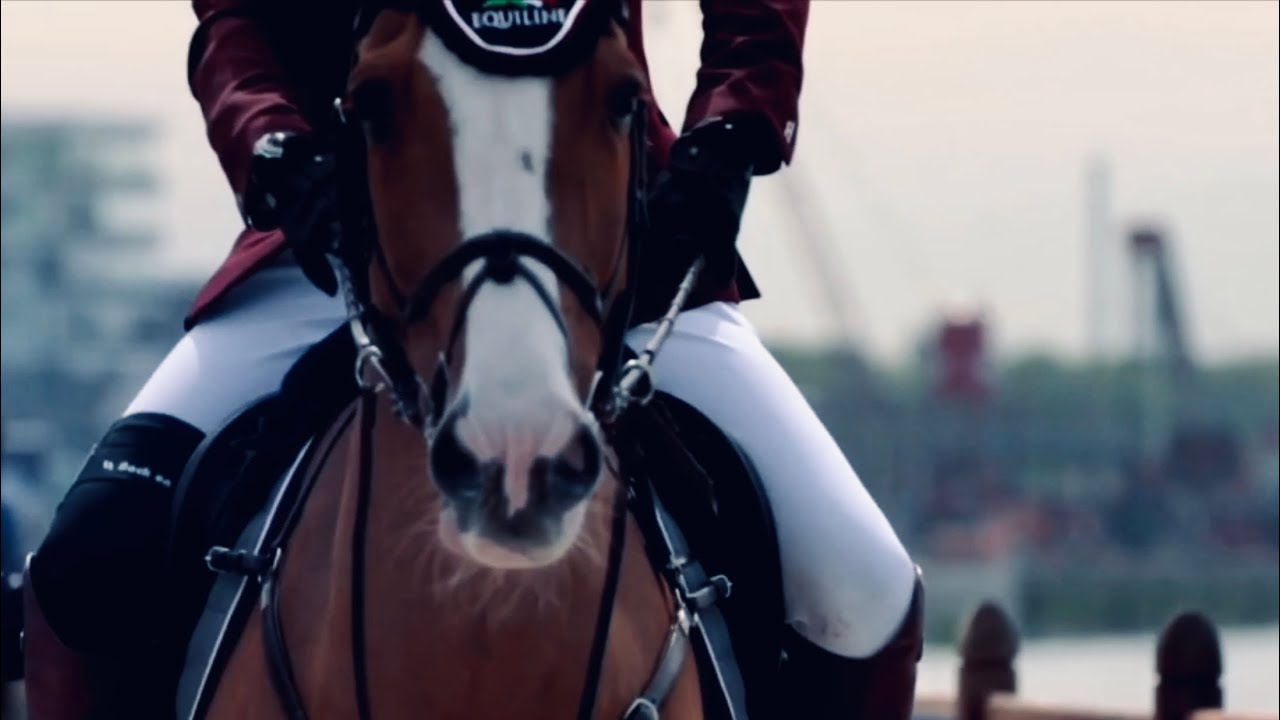 Kings & Queens | show jumping Music video