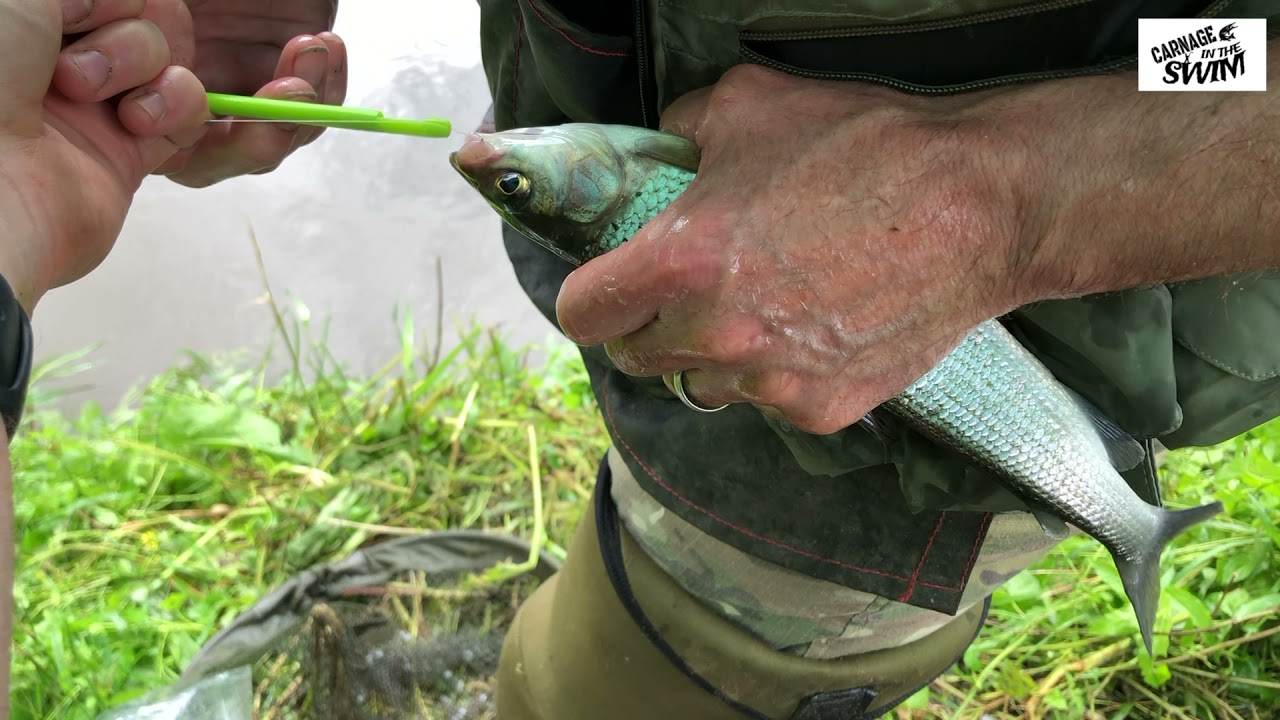 Stick float fishing sessions on the River Avon, Teme and Stour. I caught a weirpool beast!