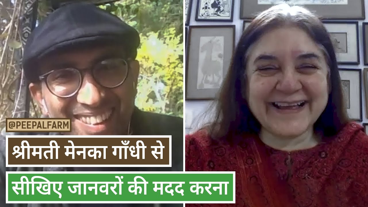An interview with Smt. Maneka Gandhi on how we all can help animals (Hindi with English subtitles)