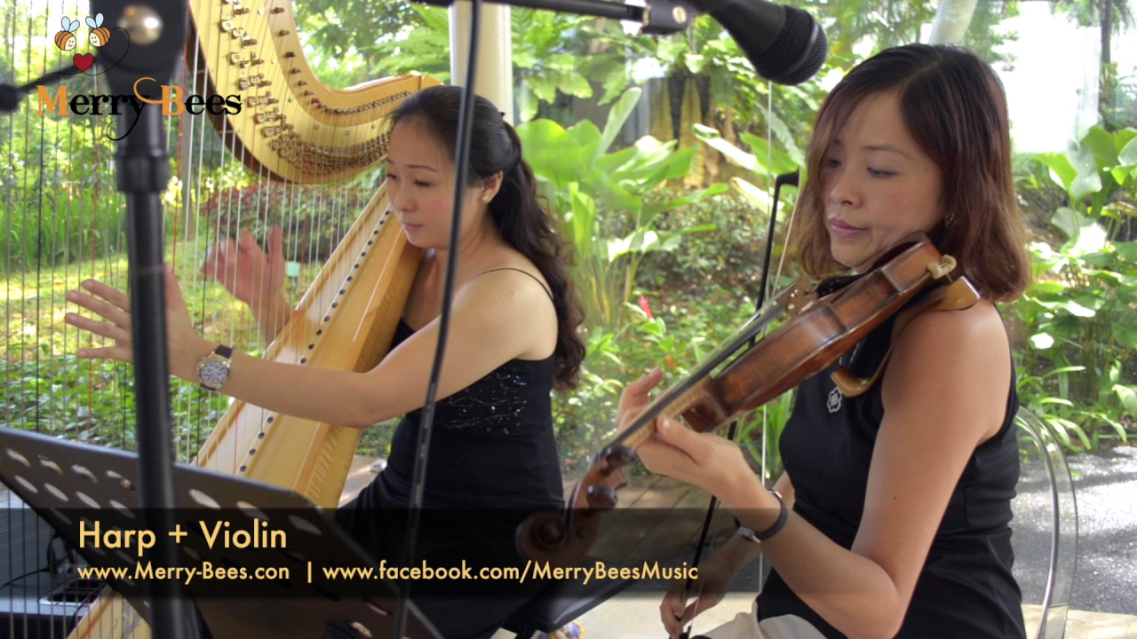 Merry Bees Live Music - Harp Duo (classical #2)