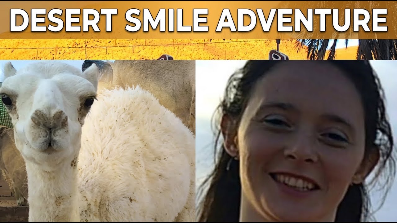 От молока до стейка — судьба верблюда в Алжире