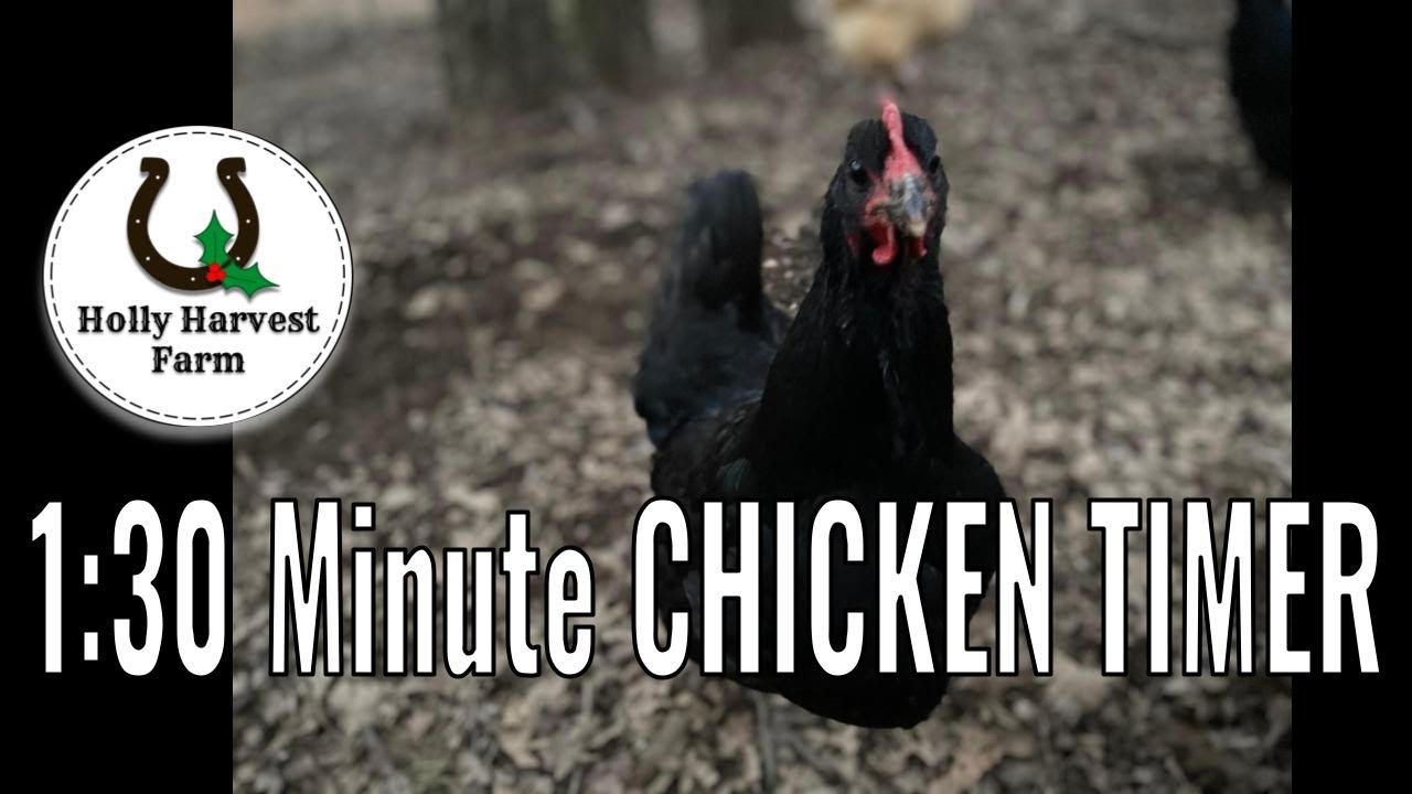 1:30 minute CHICKEN TIMER