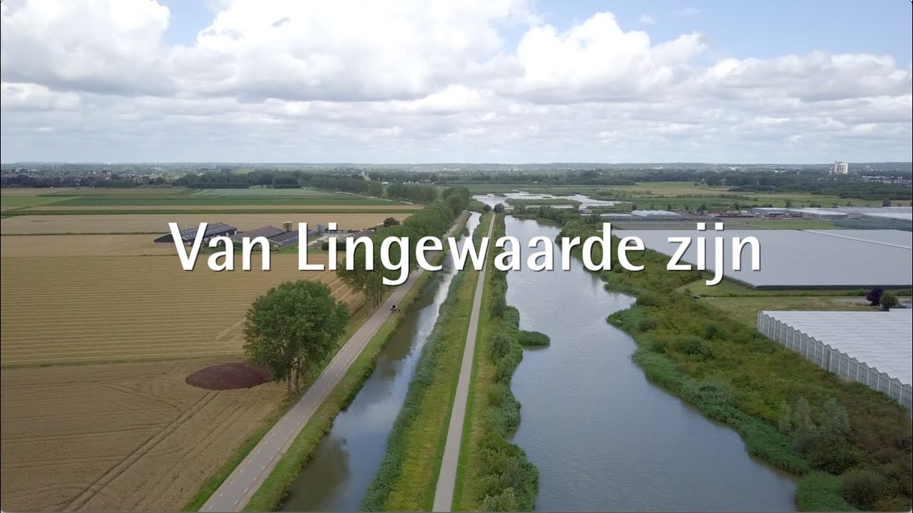 Van Lingewaarde zijn: het verhaal van onze organisatie