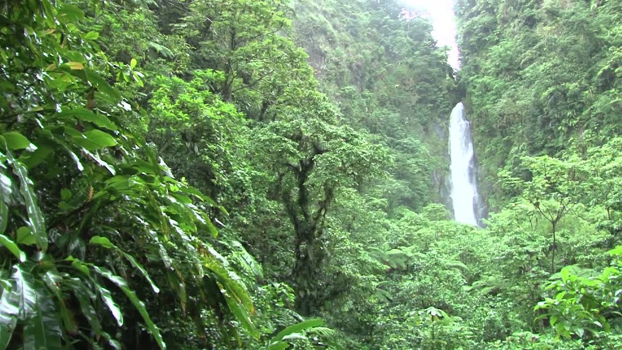Trafalgar falls - chute de Trafalgar Dominique