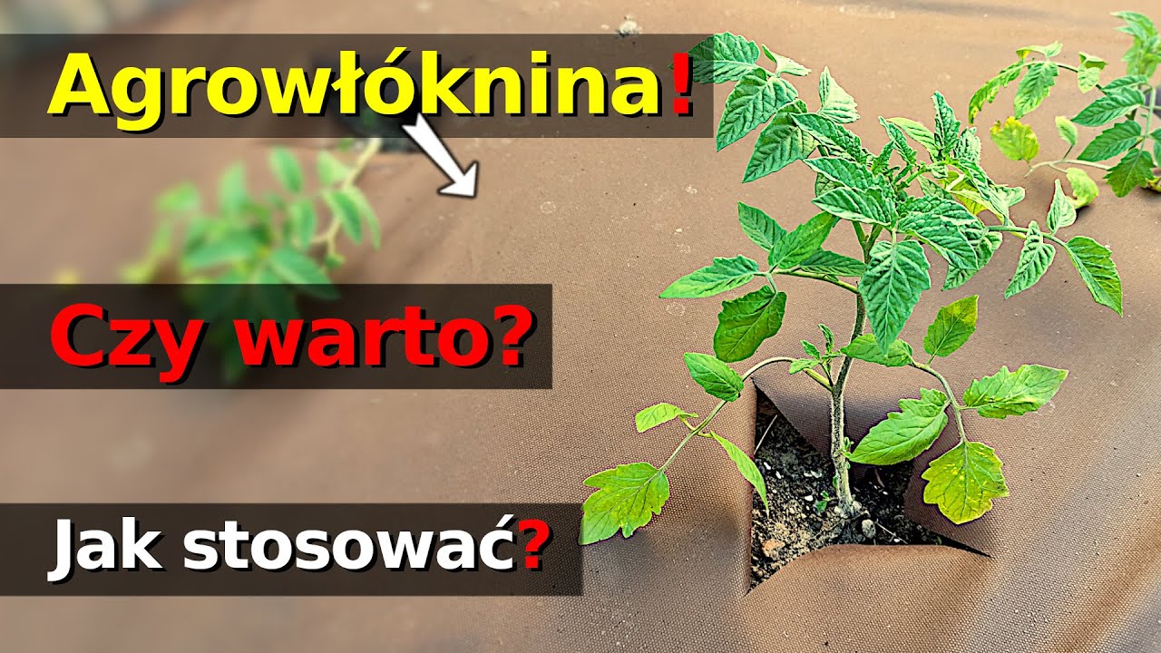 Ogr 45 - Agrowłóknina - sposób na chwasty! - Czy warto stosować? i jak układać agrowłókninę?