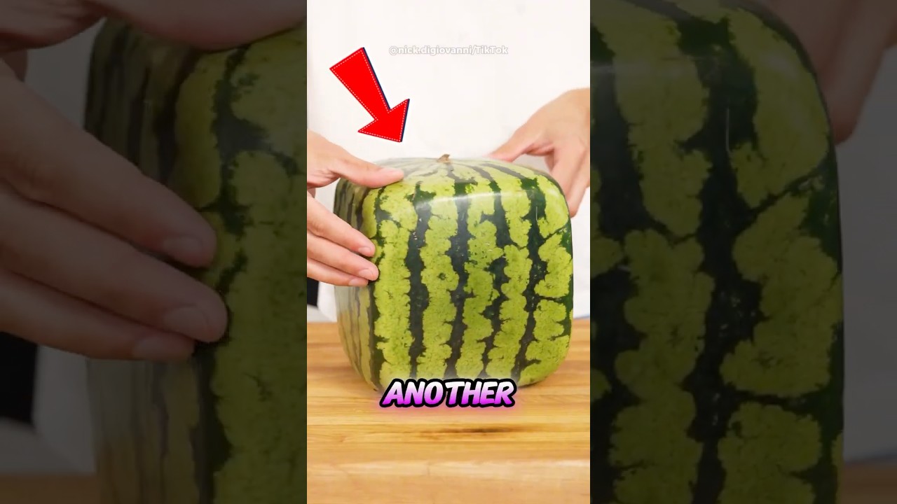 Japan&rsquo;s $45,000 Melon?! 🍈💰 (The World&rsquo;s Most Expensive Fruit!) #japan #shorts #fruit