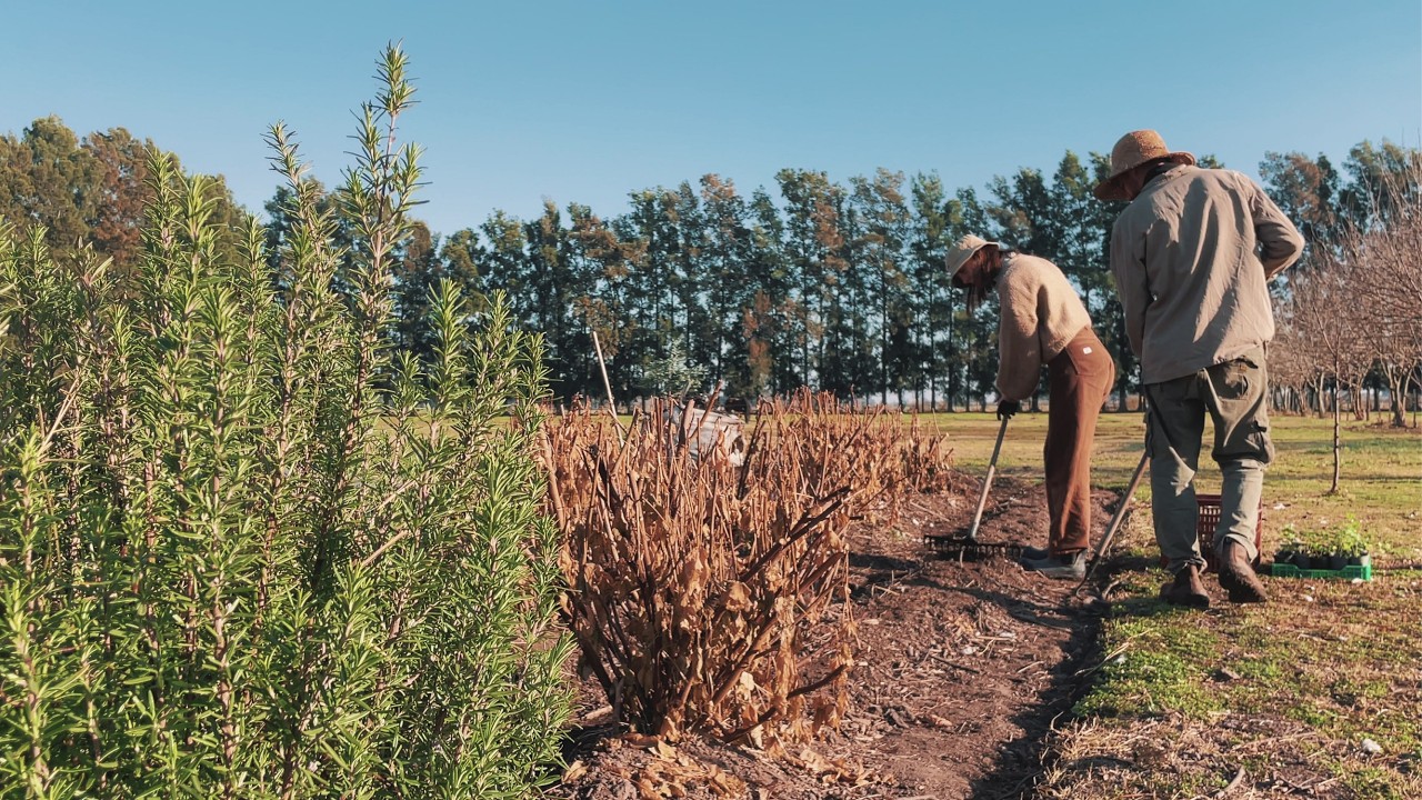 UN DIA DE INVIERNO en nuestra CASA DE CAMPO | huerta, pastas plant based y costura
