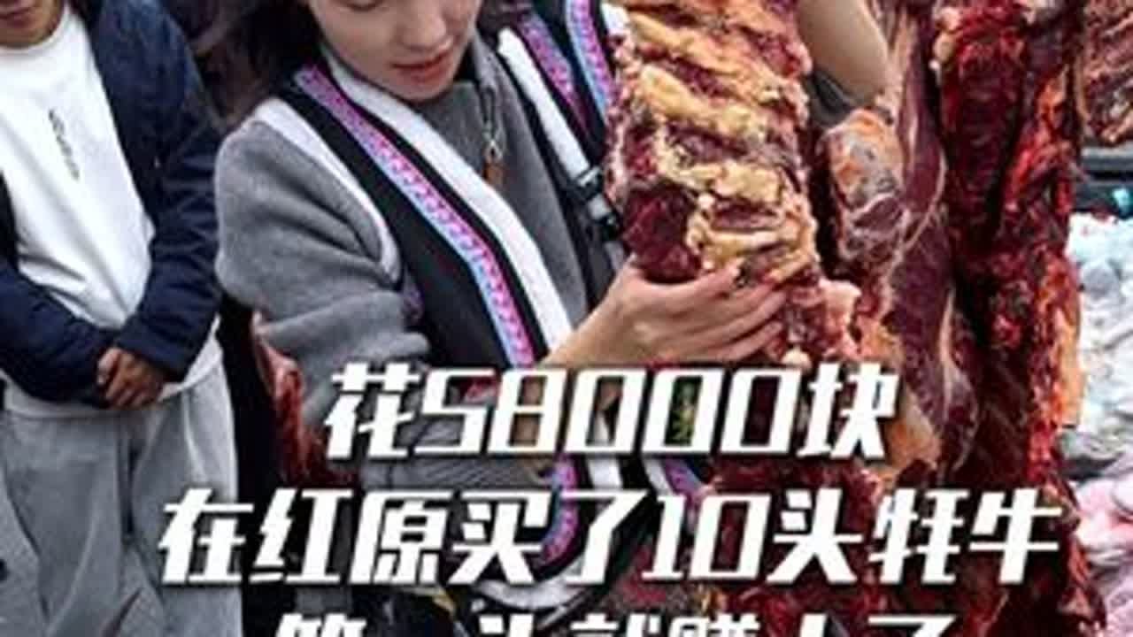 花58000在红原买了10头牦牛 宰的第一头就让我大赚了#新农人2025 #牦牛 #摆摊日记 #欢欢羌族姑娘 #生活的烟火气息