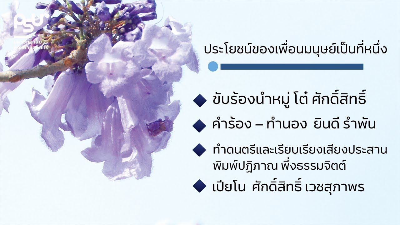 เพลง : ประโยชน์ของเพื่อนมนุษย์เป็นที่หนึ่ง