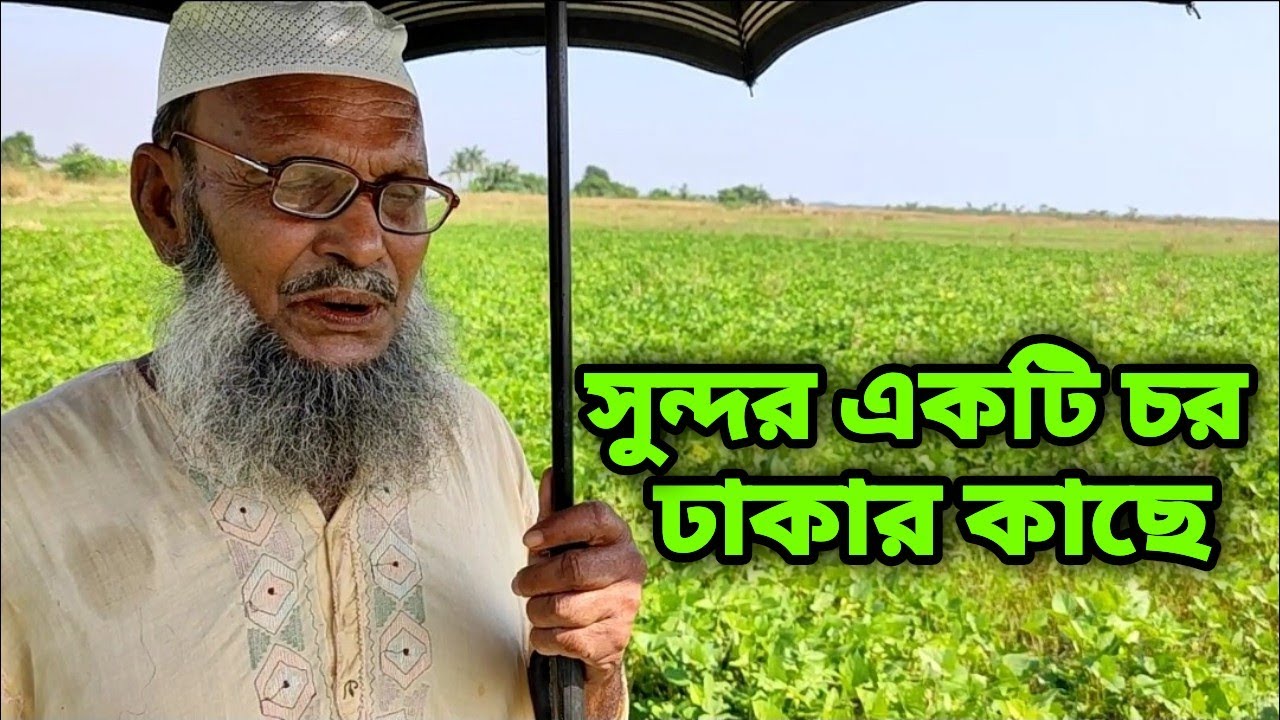 ঢাকার কাছে সুন্দর একটি চর বিদ্যুৎ ব্যবস্থা এবং থাকার উপযোগী