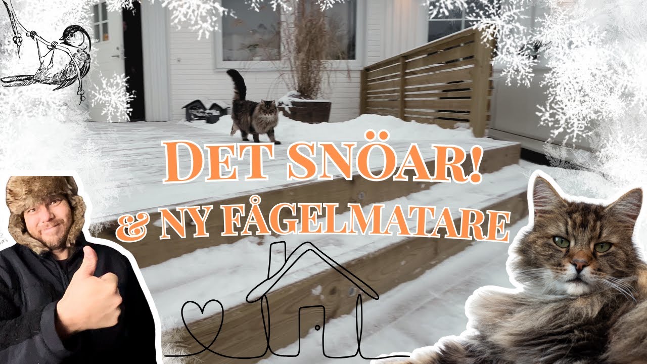 Nya mål för 2026?