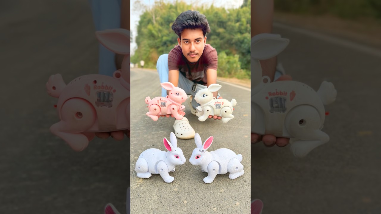 Remote Control Mini Rabbit & Big Rabbit 🐇 Unboxing
