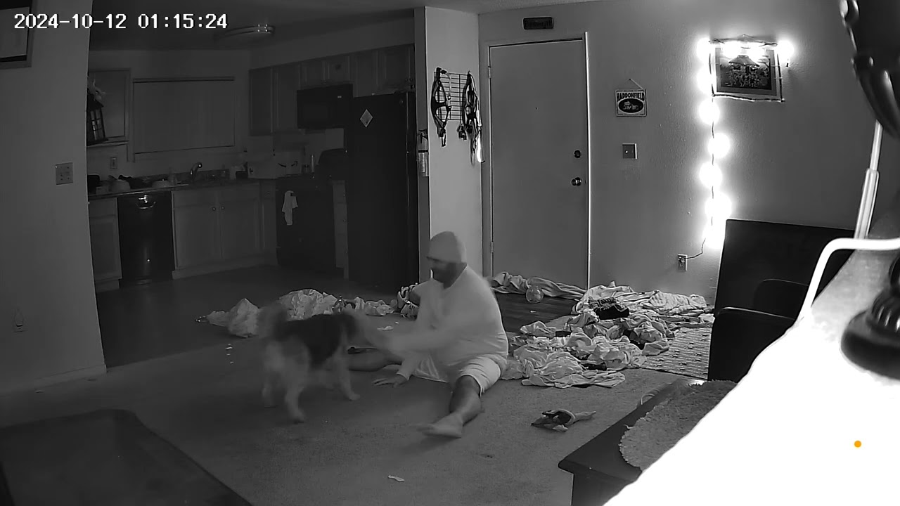 Ozzie playing fetch ghost voice at end