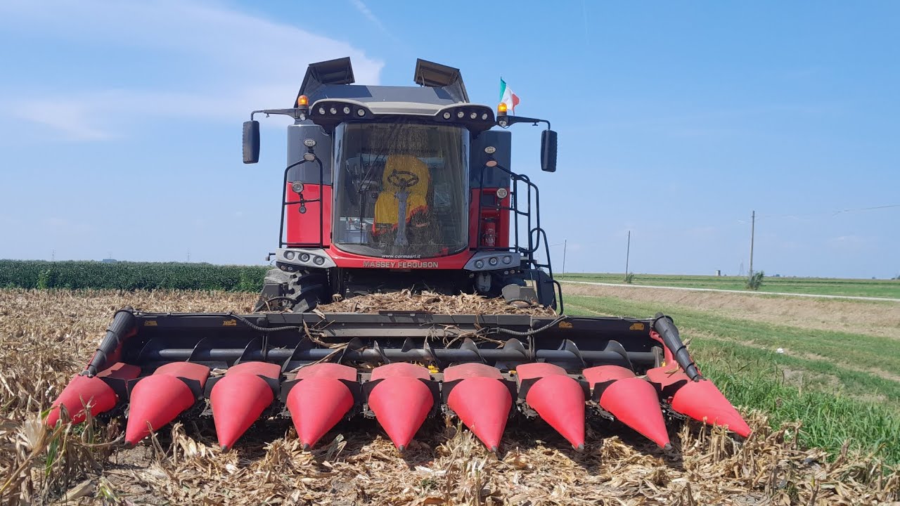 Massey Ferguson Beta 7360 vs mais 2024