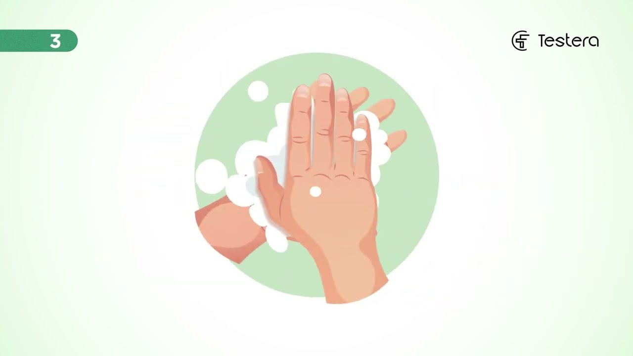 Testera Laimo ligos testas/Testera Lyme disease rapid test