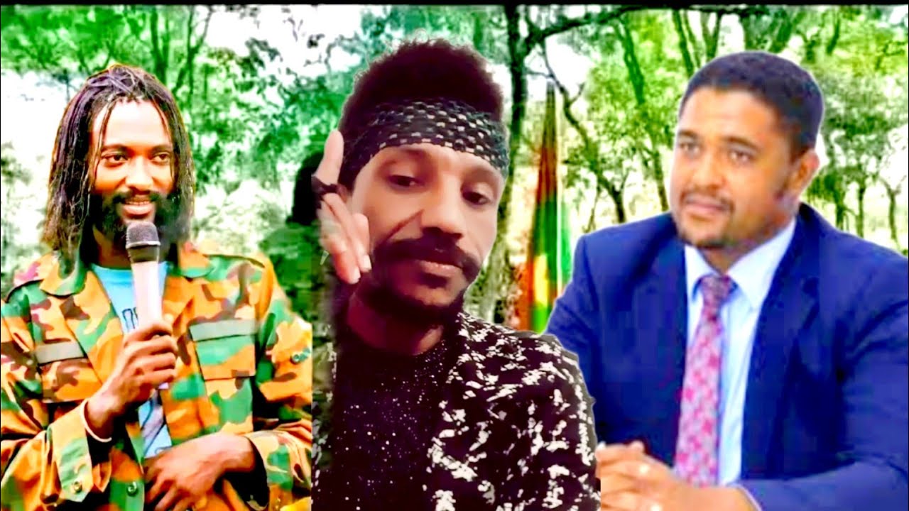 Shimaliis abdiisaa ilma abba gadaatii wayee juwar maal dubaatee kallaatiidhaan dawwadhaa