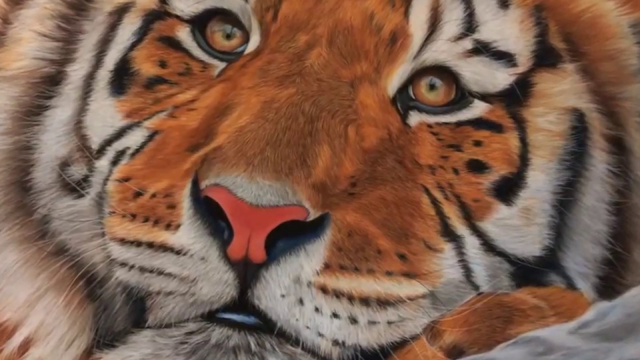Portrait d'un Tigre aux pastels secs