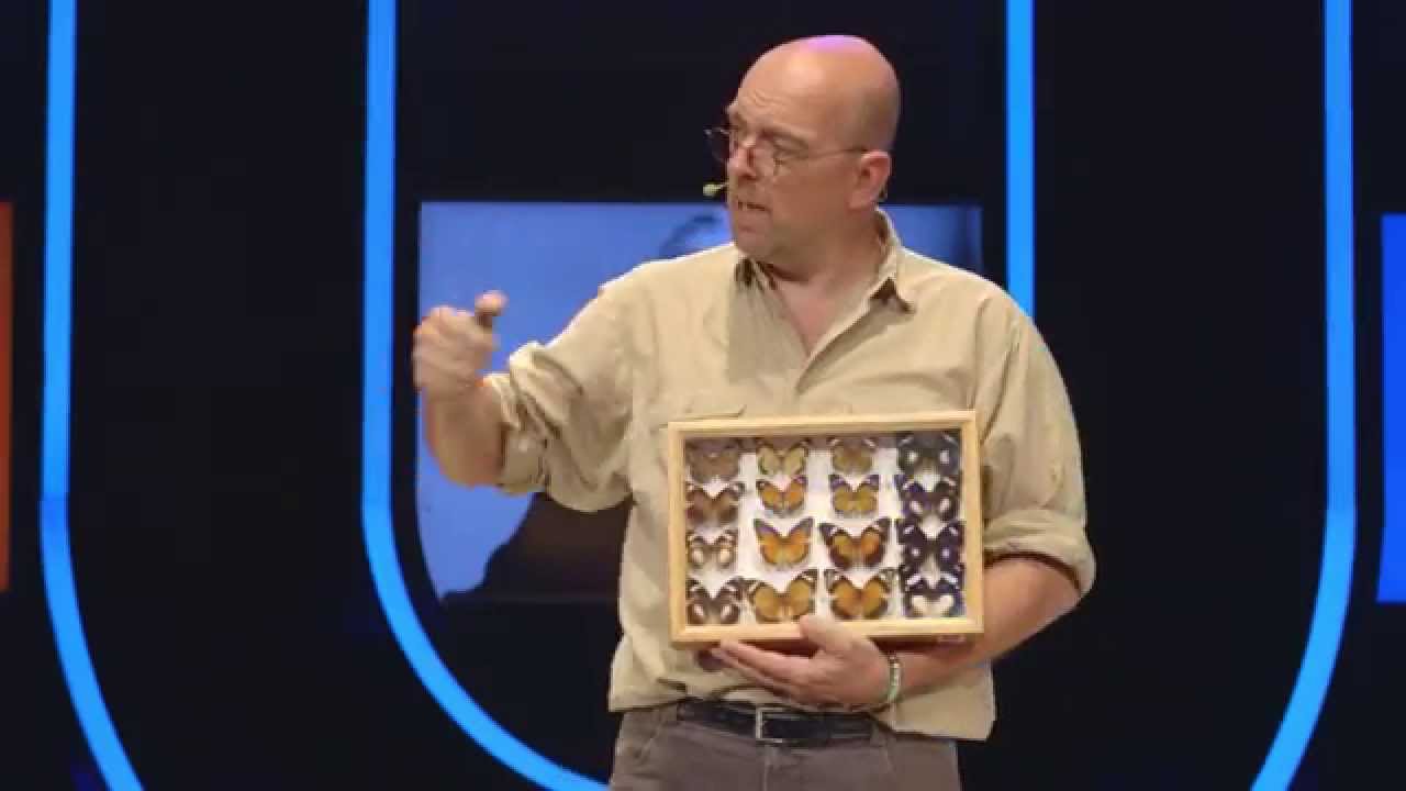 Hoe hebben muggen het verloop van de wereldgeschiedenis bepaald? (2/5)