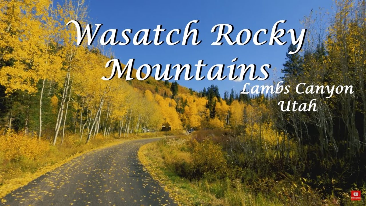 Lambs Canyon Northern Utah - Fall Colors - Canyon Tour - Utah in the Fall - 
