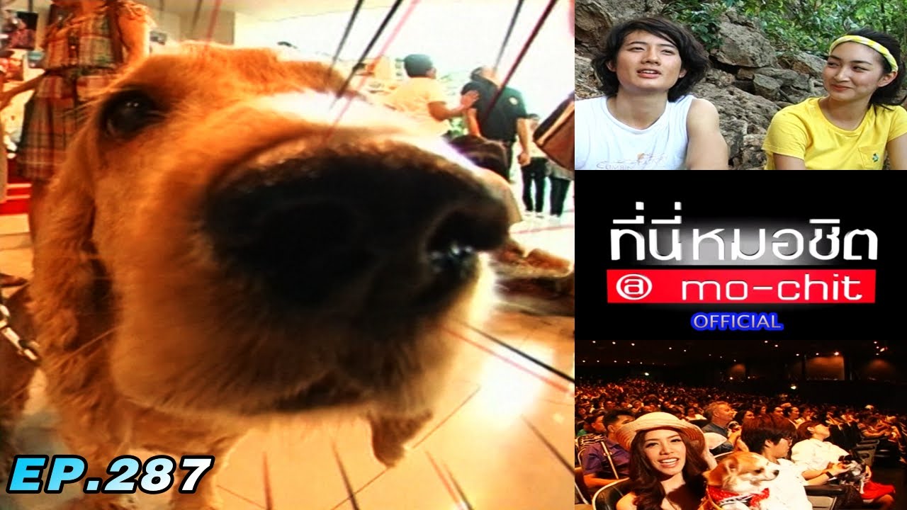 ที่นี่หมอชิต | ตอน บุกคอนโดเป้ อารักษ์ , ละครเวทีหมา-แมว | 29 พ.ค. 54