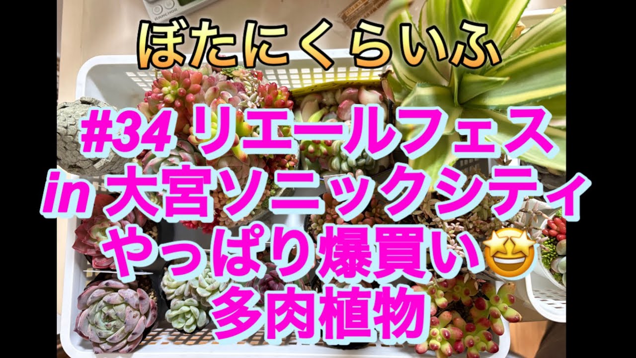 #34 リエールフェス in 大宮ソニックシティ やっぱり爆買い!?多肉植物