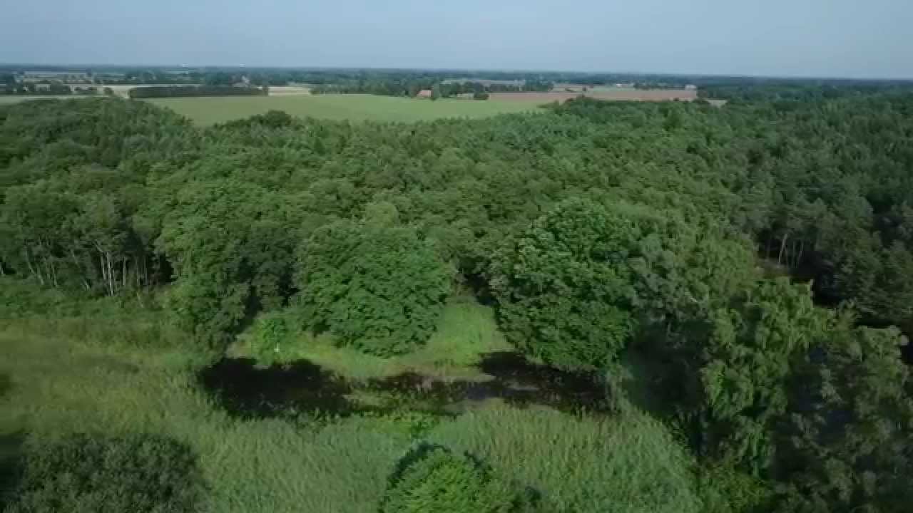 von oben - Ahlhorner Fischteiche