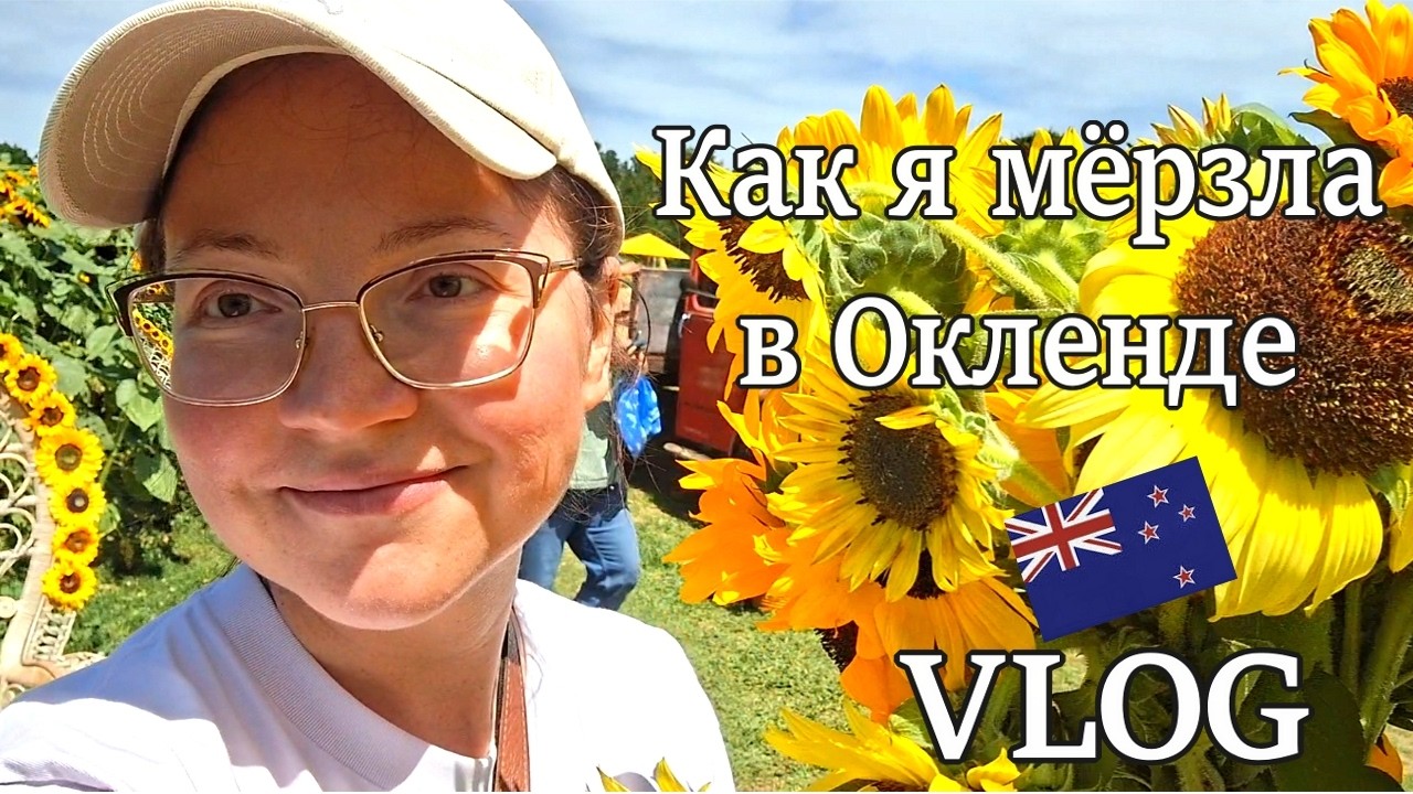 Типичные 🇳🇿 выходные, климат в Окленде