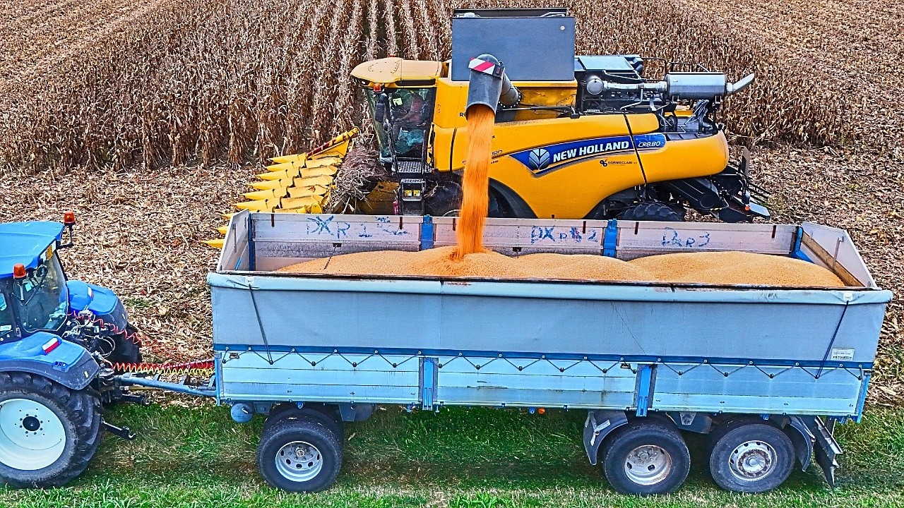 KUKURYDZY NA ZIARNO 2025 NEW HOLLAND CR 8.80 REVELATION TWIN ROTOR