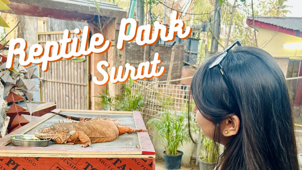 ODIN Bird & Reptile Park, Surat | Dumas road | #reptilepark #Surat #exploresurat 