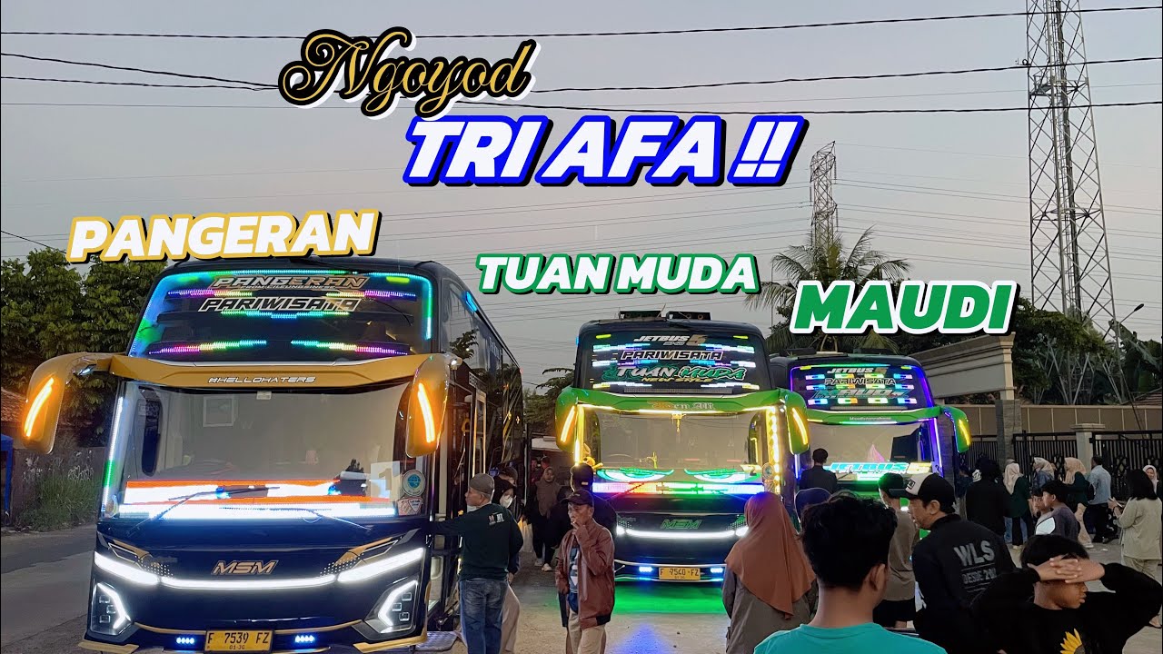 TRI AFA ‼️Ngoyod PANGERAN TUANMUDA & MAUDI 