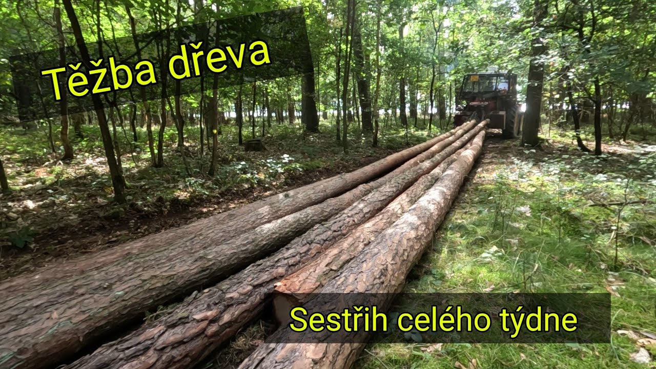 Práce v lese –  jak vypadá běžný týden při práci v lese. Stihl Ms 362, Agama aga 2, JP Forest 