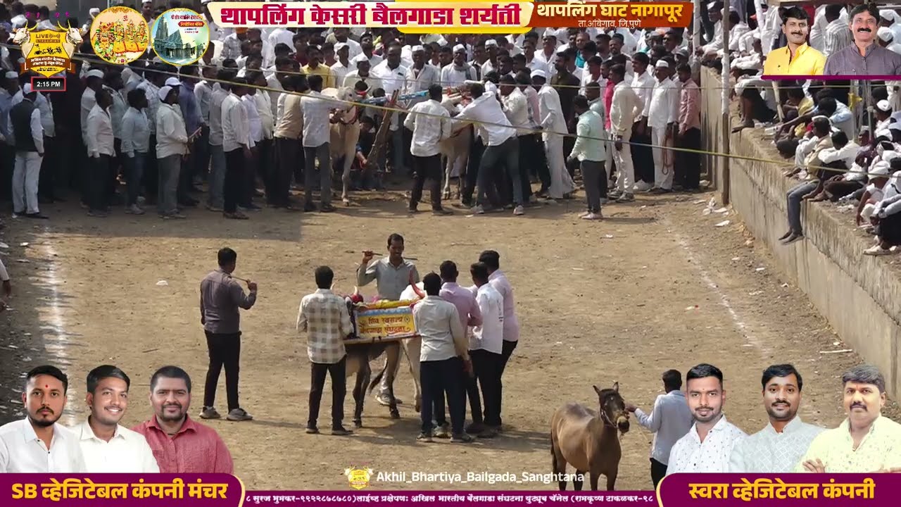 थापलिंग केसरी २०२६ हरिभाऊशेठ गंगाराम कुमकर-हरिभाऊशेठ नारायण शिंदे १३.२ पॉईंट