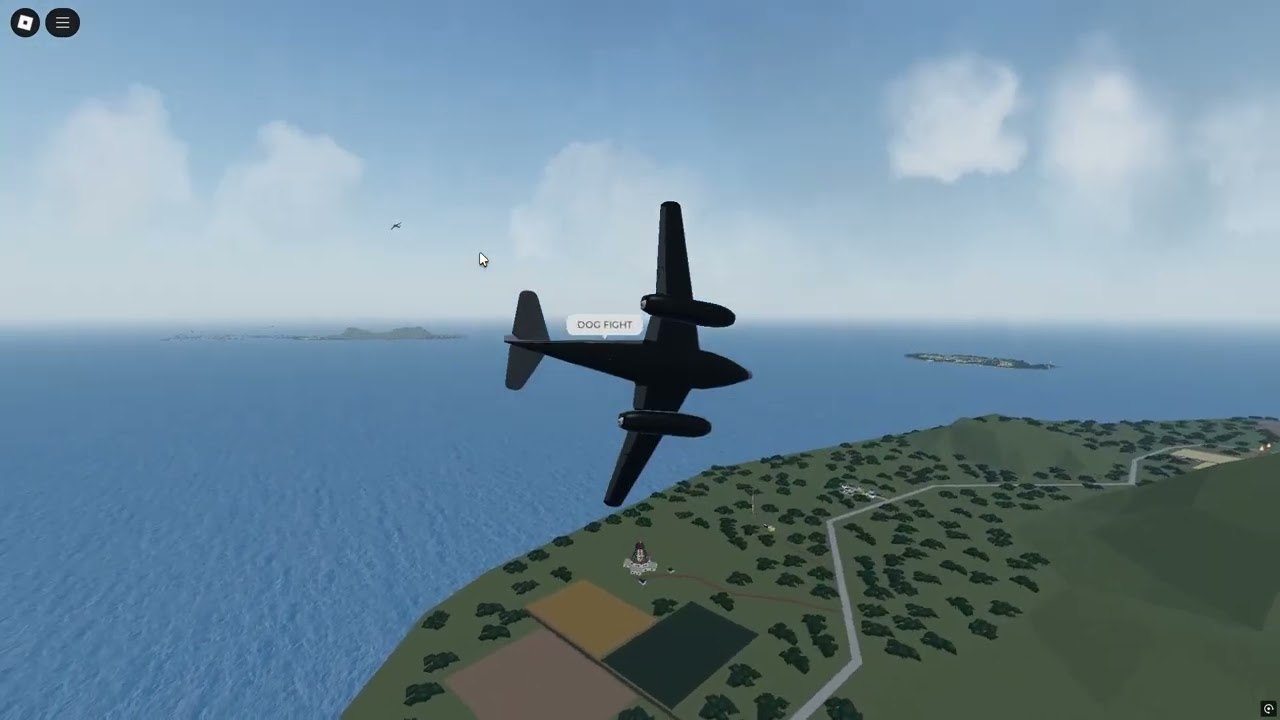 Flying 3