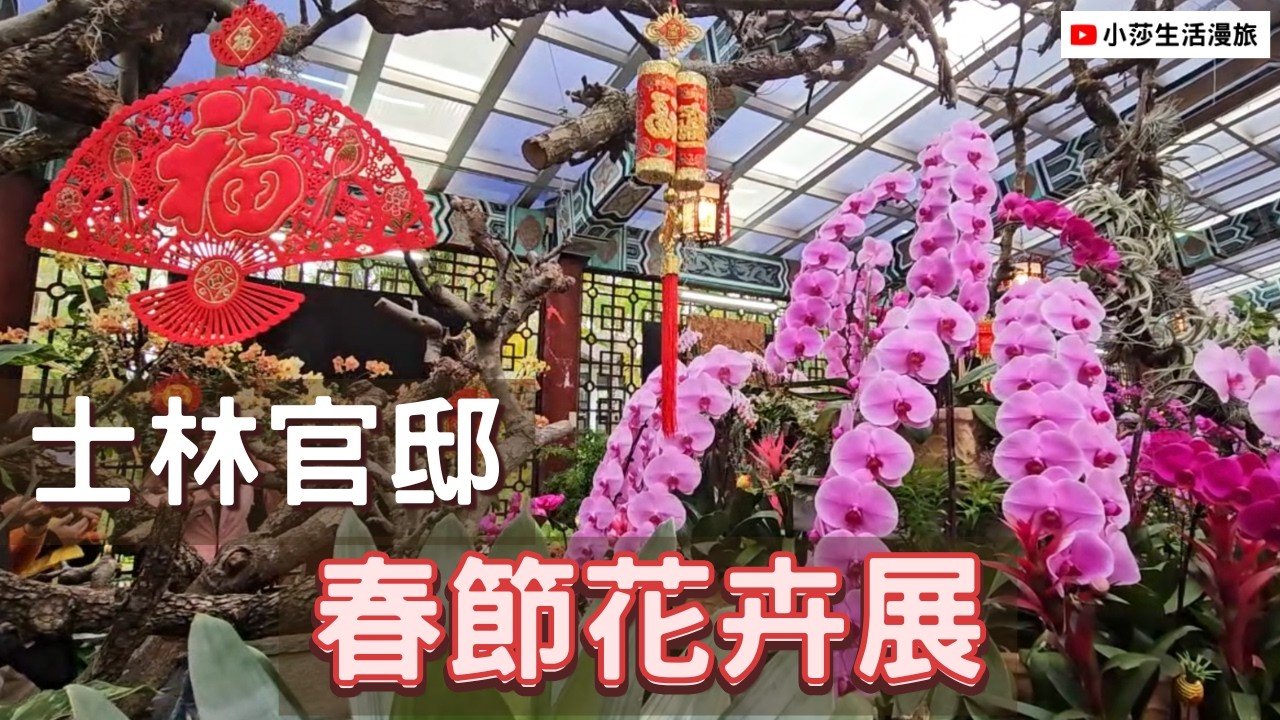 2026士林官邸春節花卉展｜新蘭亭各式蘭花盛開🌸走春賞花紀錄＋鬱金香展前準備直擊｜Shilin Residence Flower Exhibition｜小莎生活漫旅 LittleSaTravel