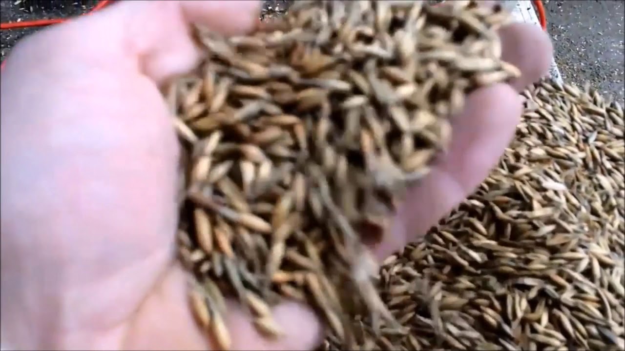 trieur &agrave; grains a&eacute;rodynamique