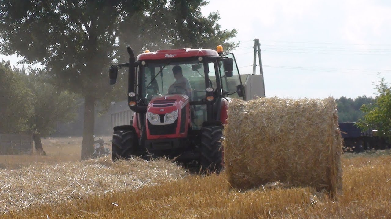 Prasowanie i zwożenie balotów 2019 |Zetor Proxima 90 CL & Class Rollant 46 & Ursus 330|