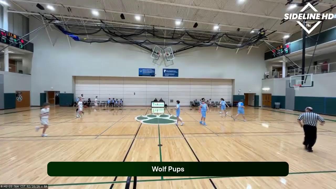 Wolf Pups (2026.02.10)