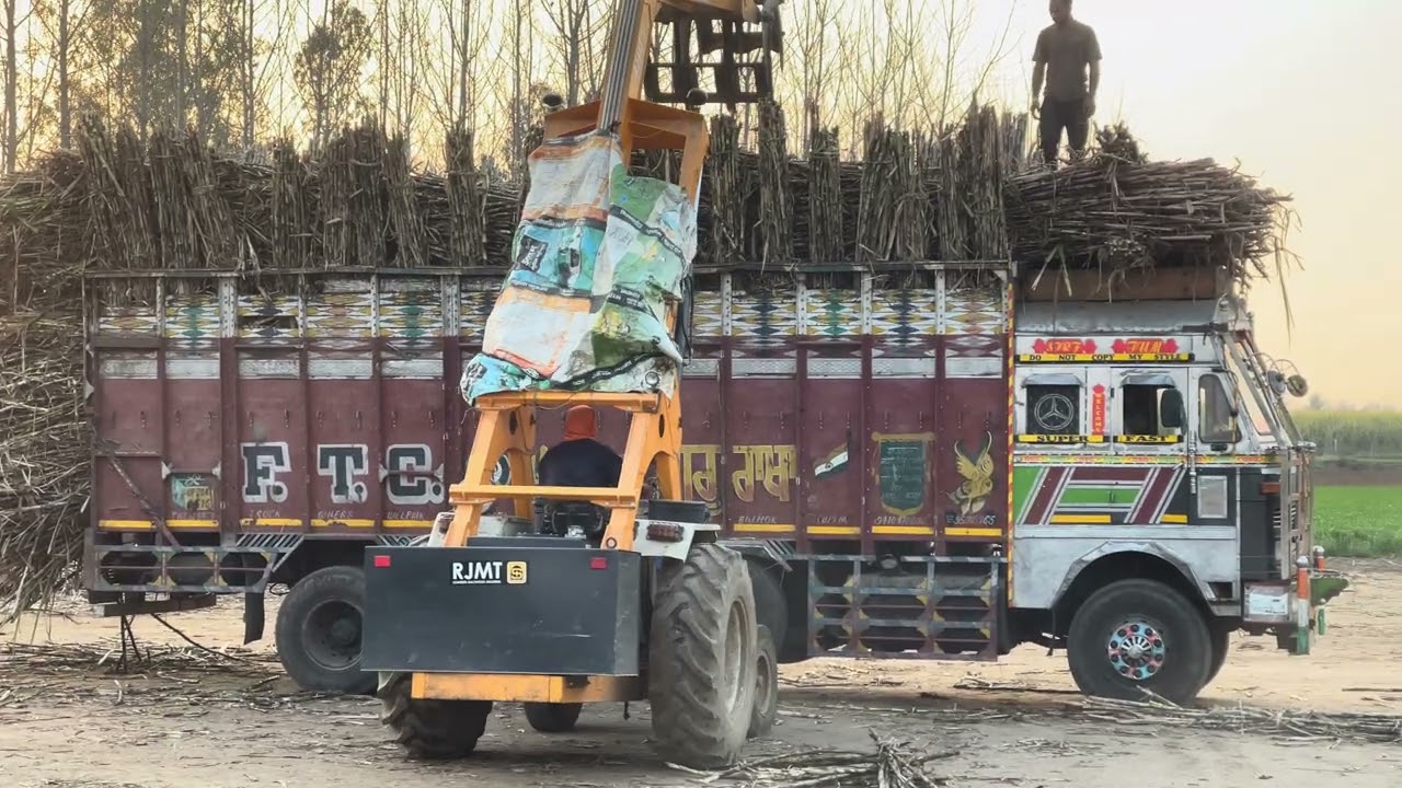 Sugar cane loading in truck