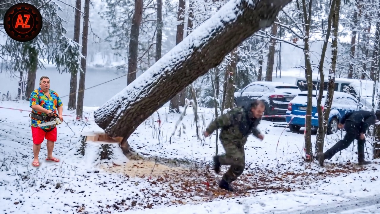 Idiots With Chainsaws: Tree Cutting Fails | Extreme Dangerous Logging Truck Fails #122