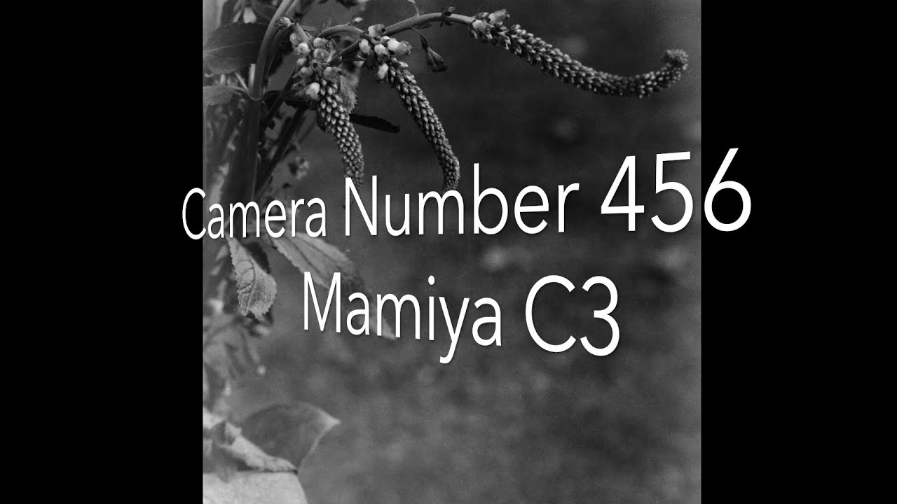 Номер камеры 456 Mamiya C3