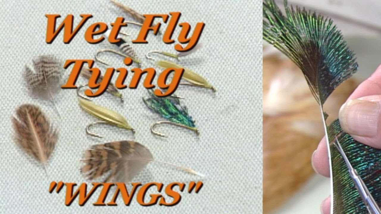 Fly Tying Wings with Davy Wotton