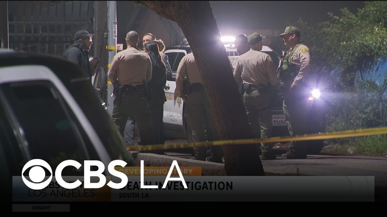 Death investigation of woman found in South LA alley continues