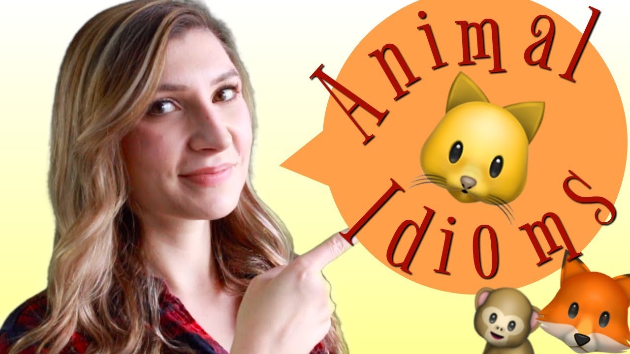 Fun Animal Idioms to Improve Your English 🐶