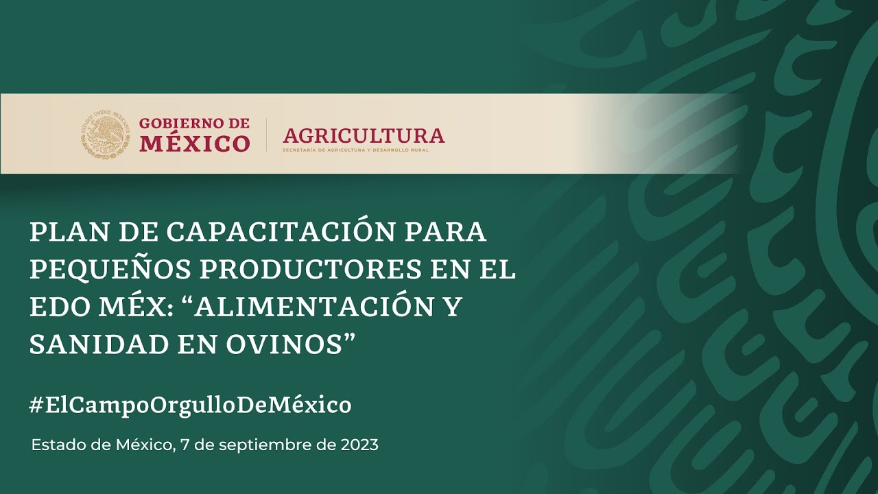 Seminario: Alimentación y sanidad en ovinos