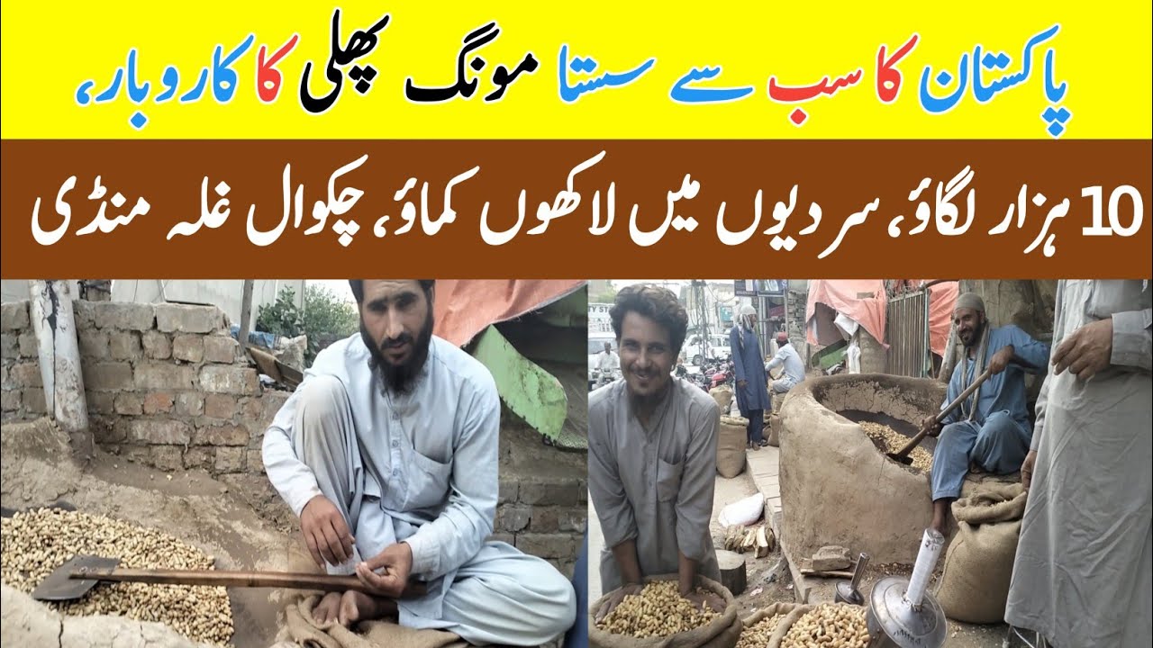 Chakwal Ki Famous Mongphali Ki Mandi /مونگ پھلی کا کاروبار